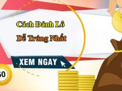 Cach danh lo de de trung nhat tu cao thu hinh anh 1